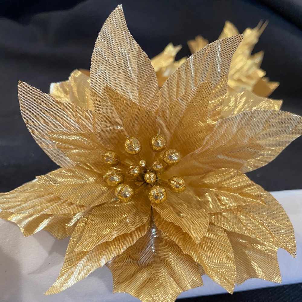 Set of 12 Holiday napkin rings.